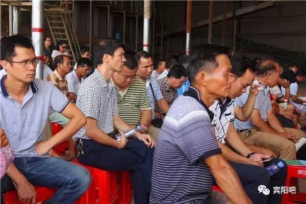 科技赋能春耕 广西九龙腾农业科技召开水稻新技术应用及工厂化育秧现场会